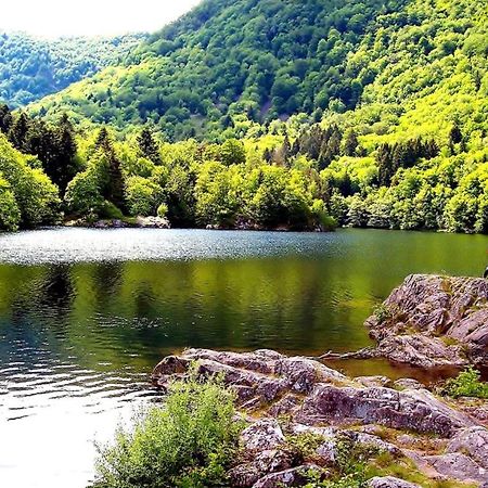Appartement Cosy Sur Masevaux Kültér fotó
