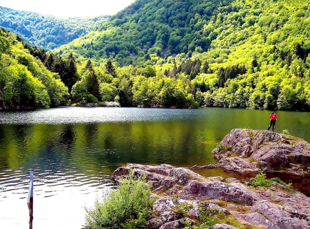 Appartement Cosy Sur Masevaux Kültér fotó